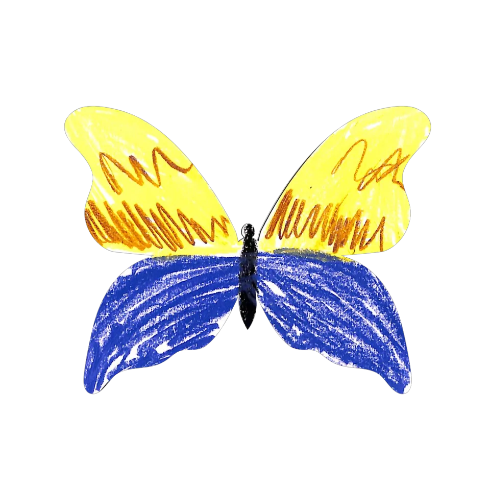 Original Butterfly Image
