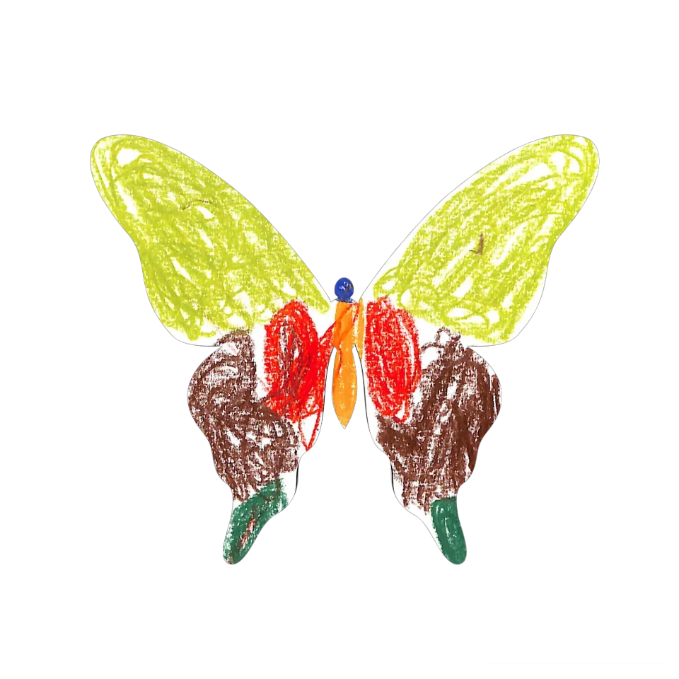 Original Butterfly Image