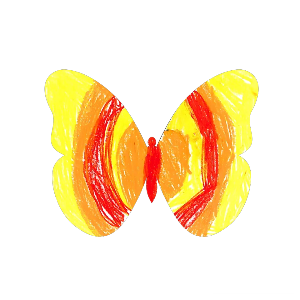 Original Butterfly Image