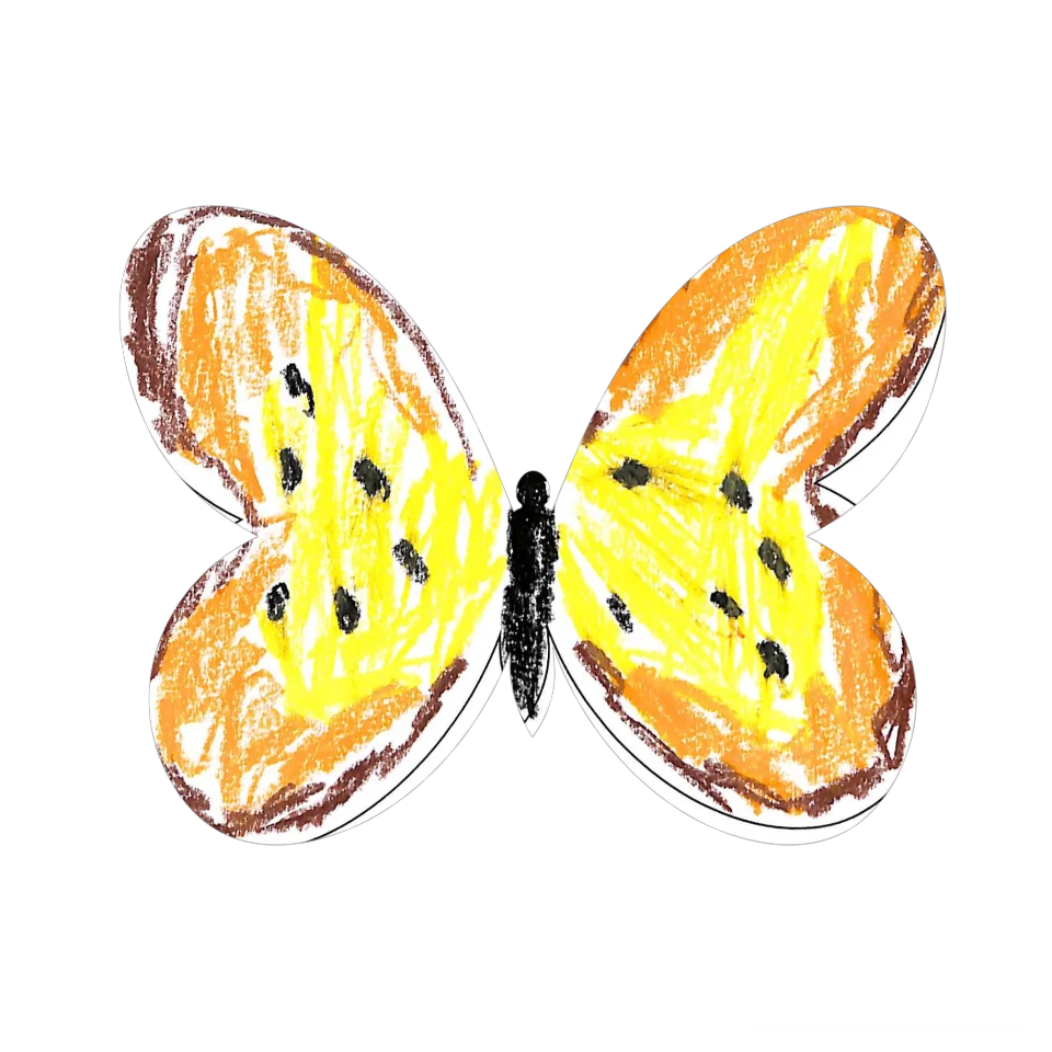 Original Butterfly Image