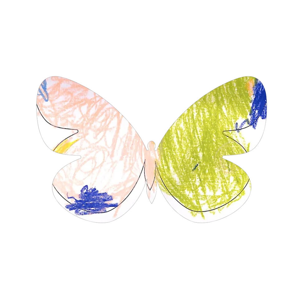 Original Butterfly Image