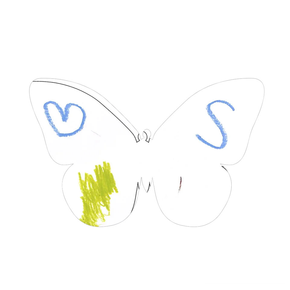 Original Butterfly Image