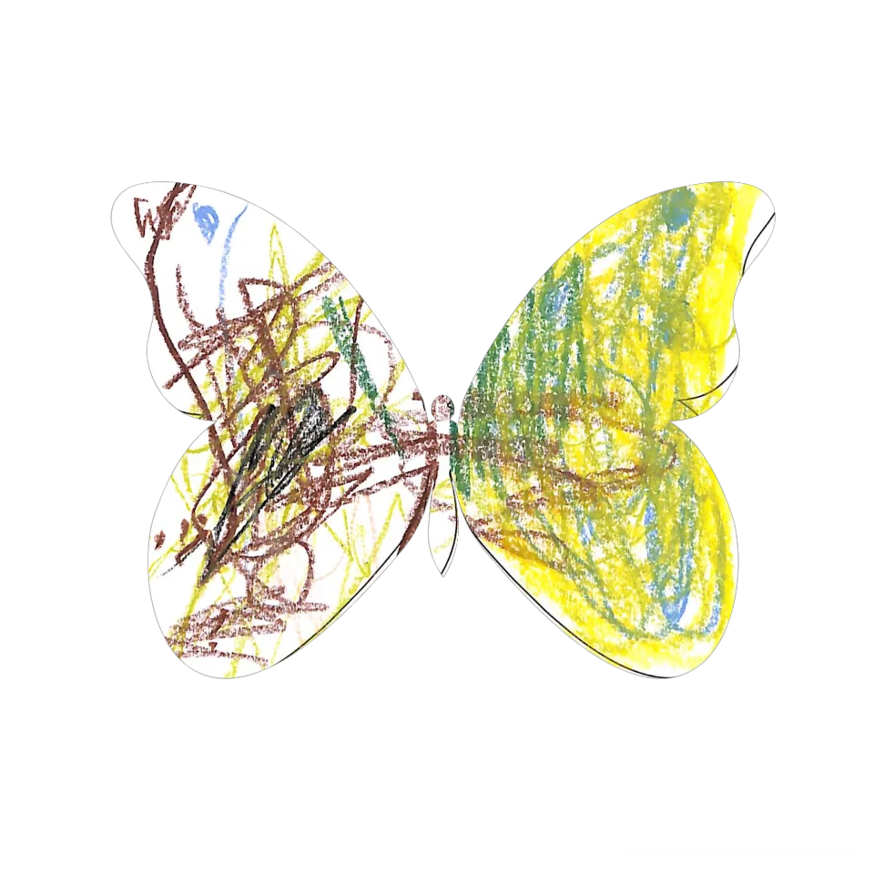 Original Butterfly Image