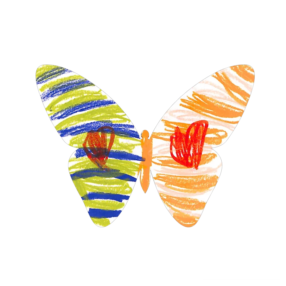 Original Butterfly Image