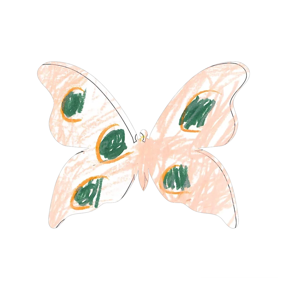 Original Butterfly Image