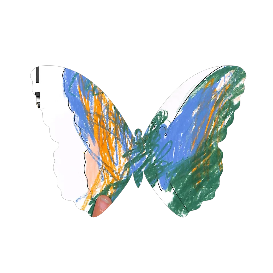 Original Butterfly Image