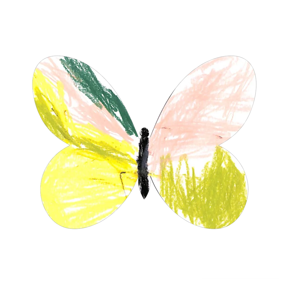 Original Butterfly Image