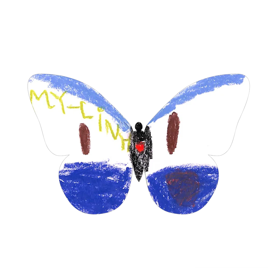 Original Butterfly Image