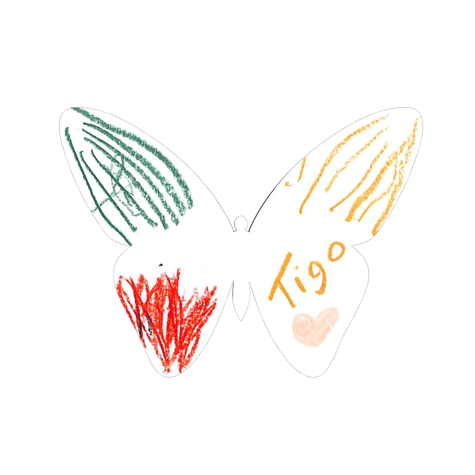 Original Butterfly Image