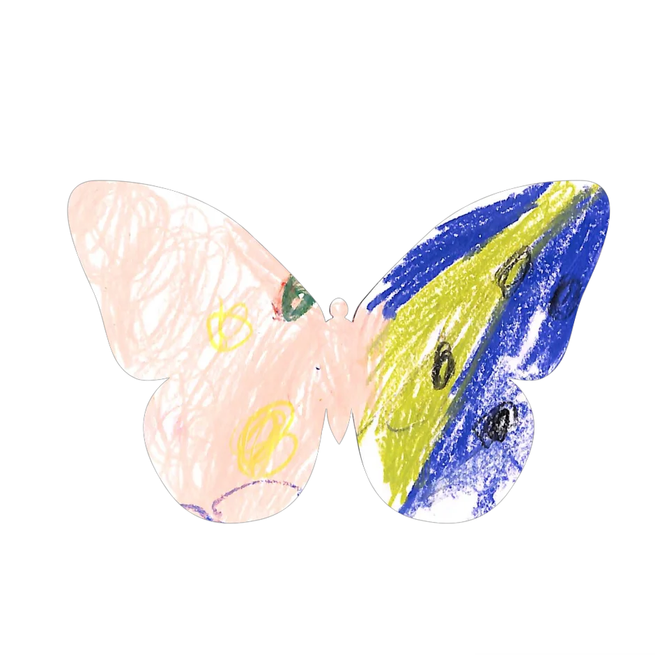 Original Butterfly Image