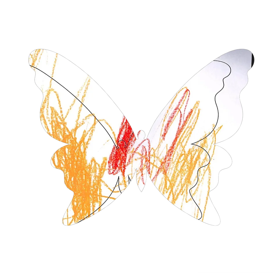 Original Butterfly Image