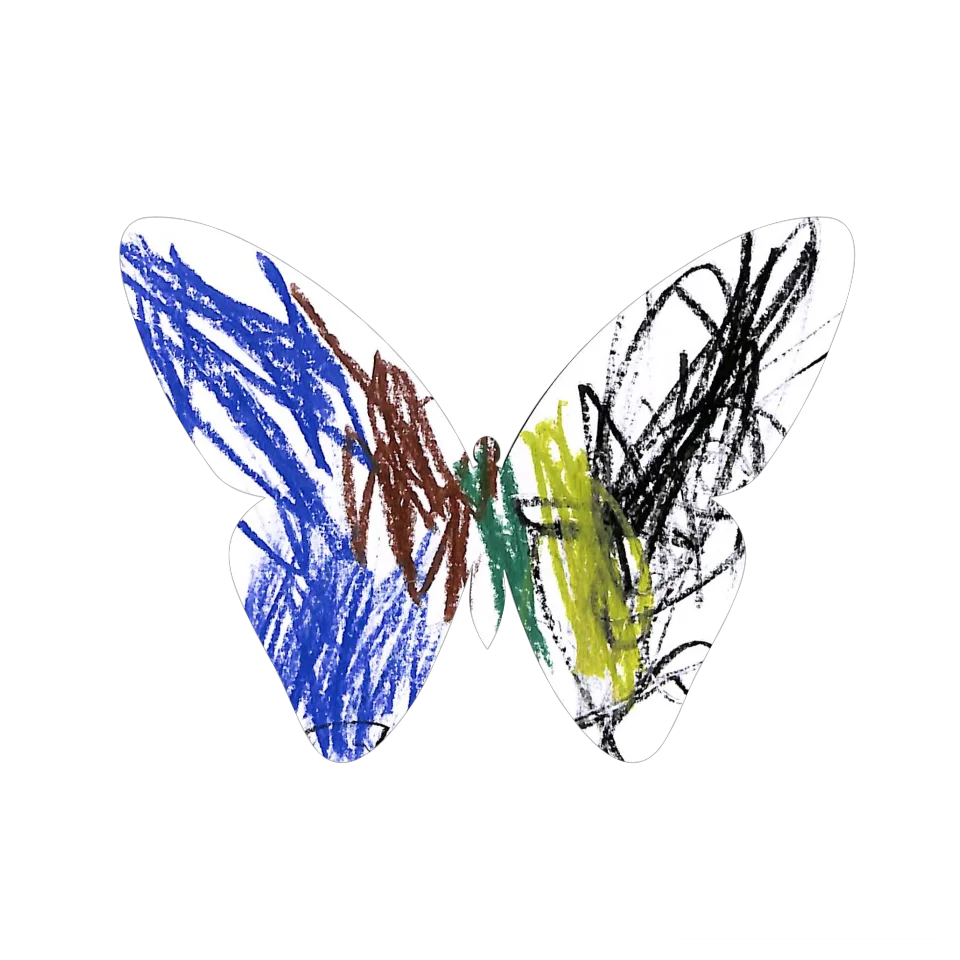 Original Butterfly Image