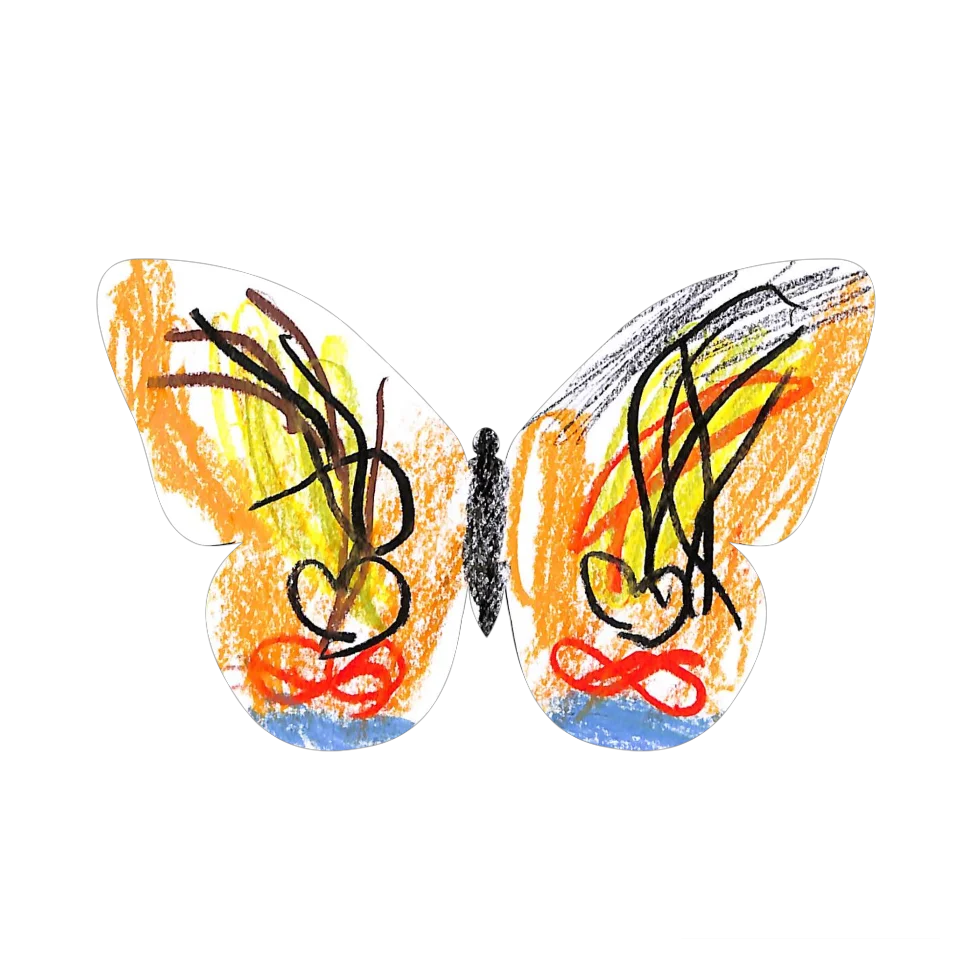 Original Butterfly Image