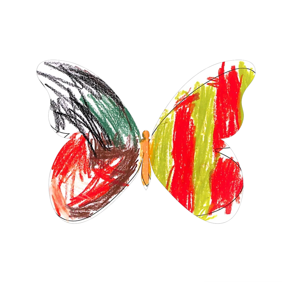 Original Butterfly Image