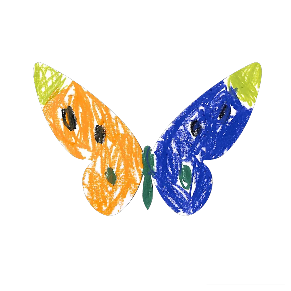 Original Butterfly Image