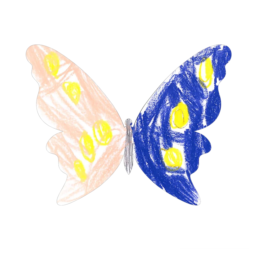 Original Butterfly Image
