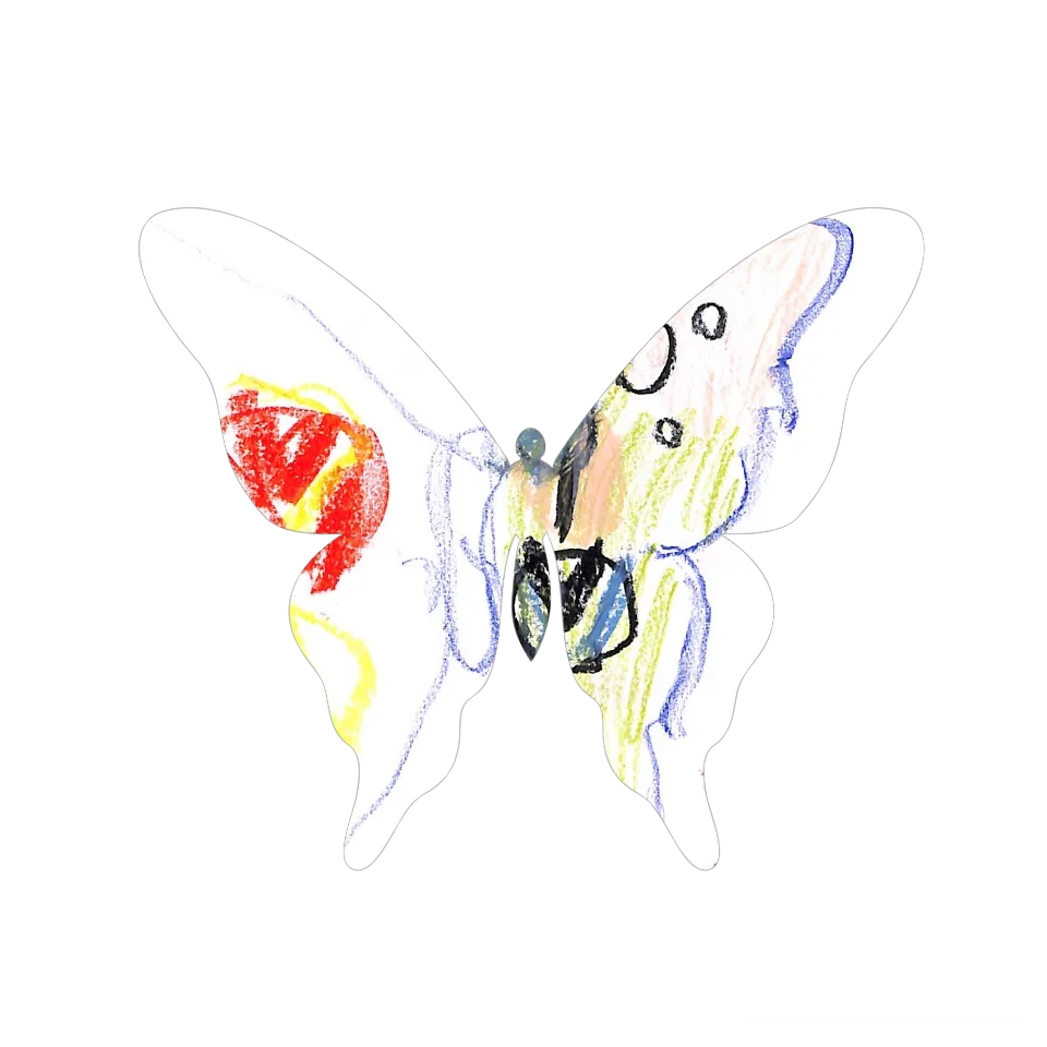 Original Butterfly Image