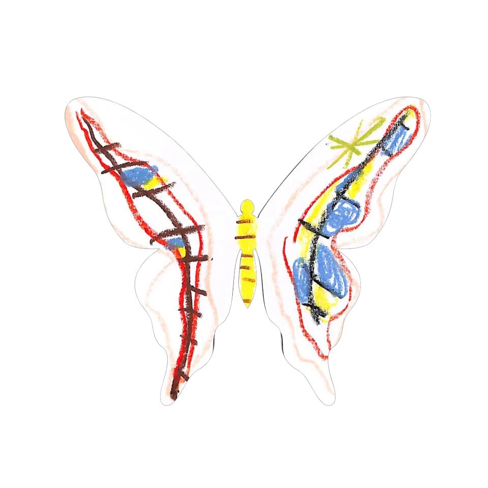 Original Butterfly Image