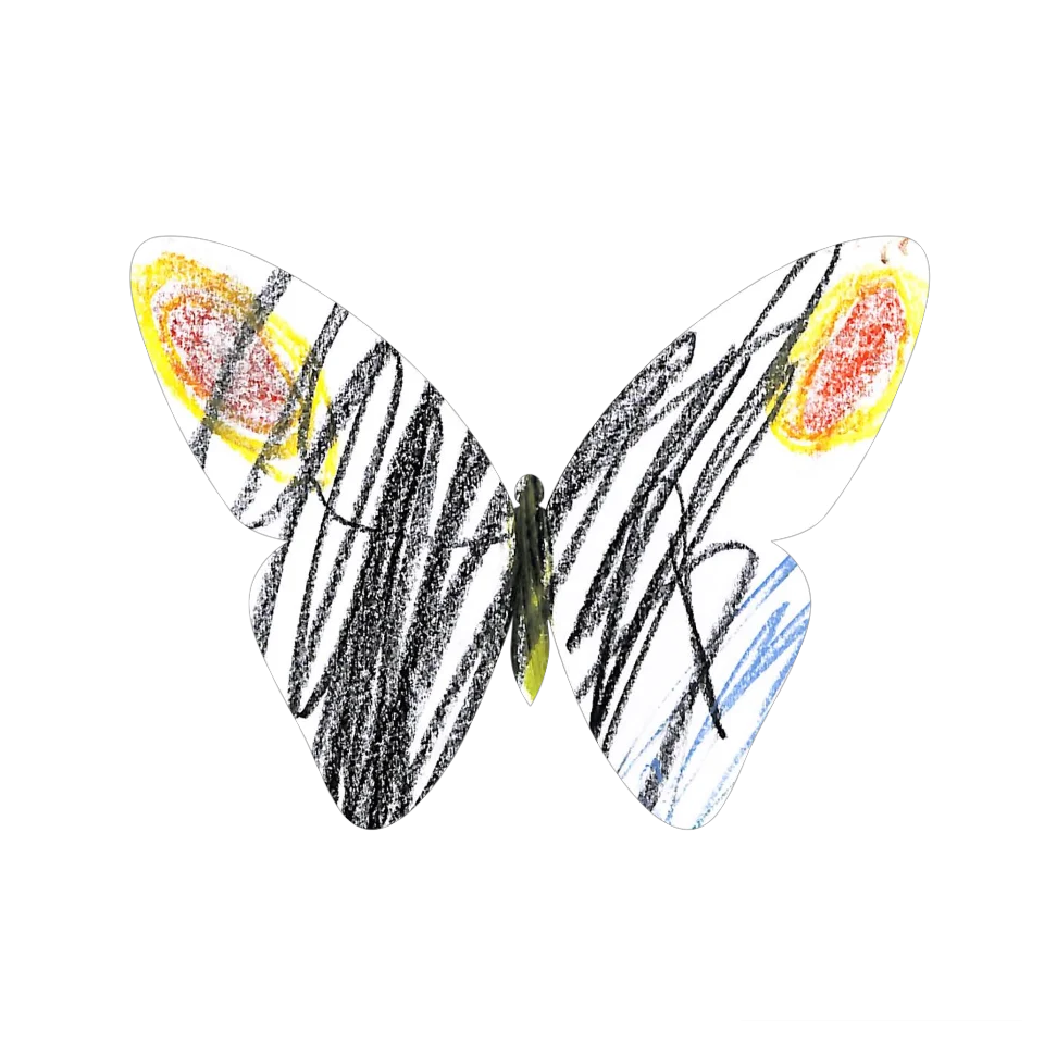 Original Butterfly Image