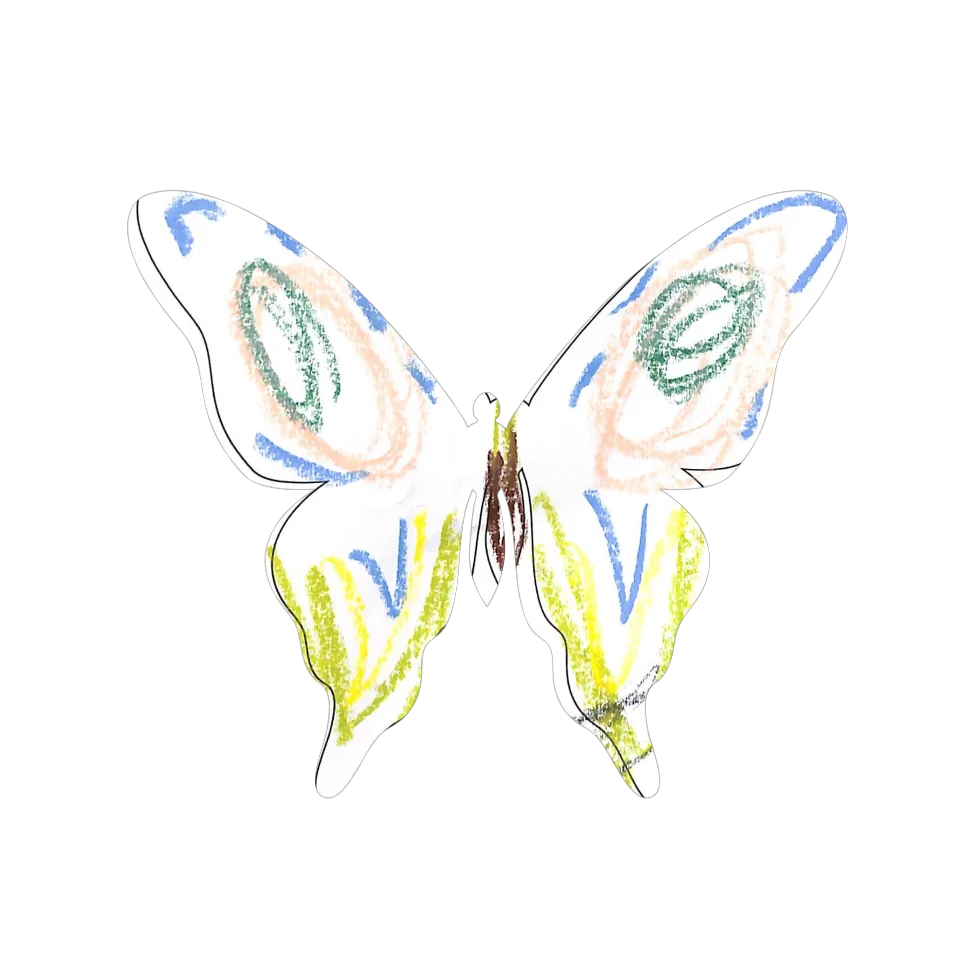 Original Butterfly Image