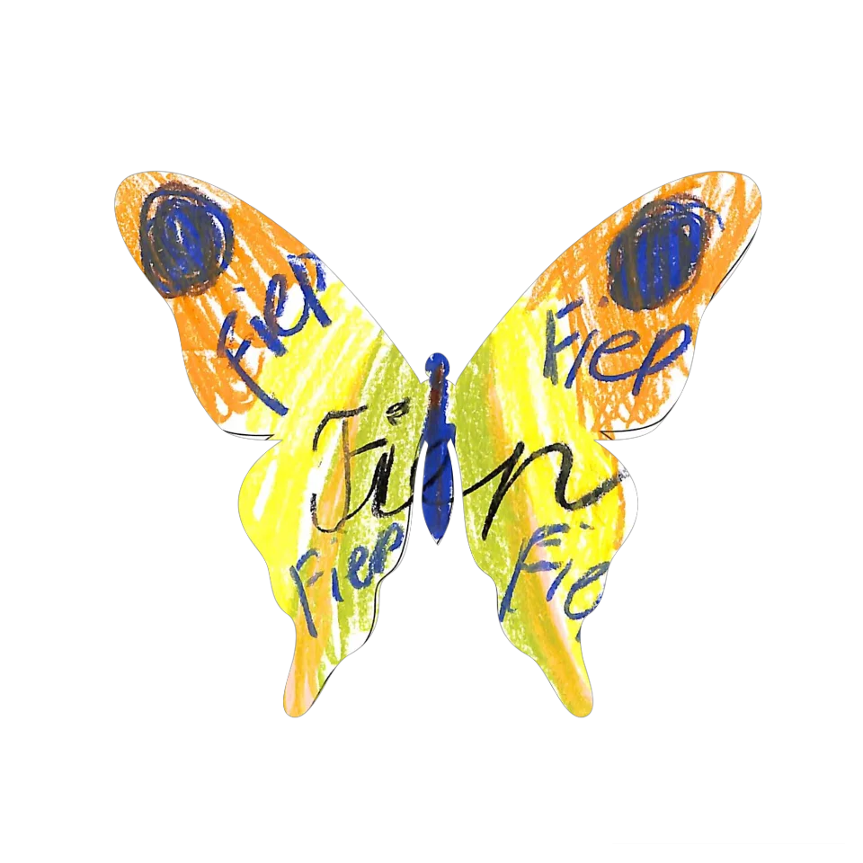 Original Butterfly Image