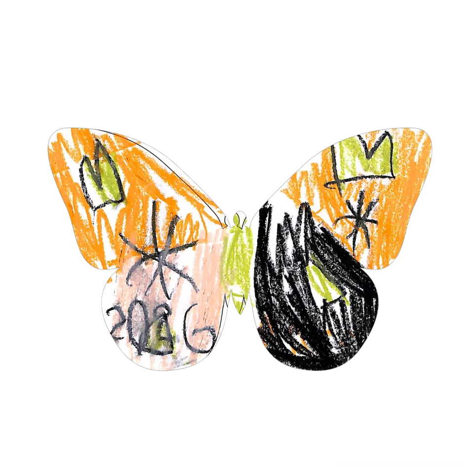 Original Butterfly Image