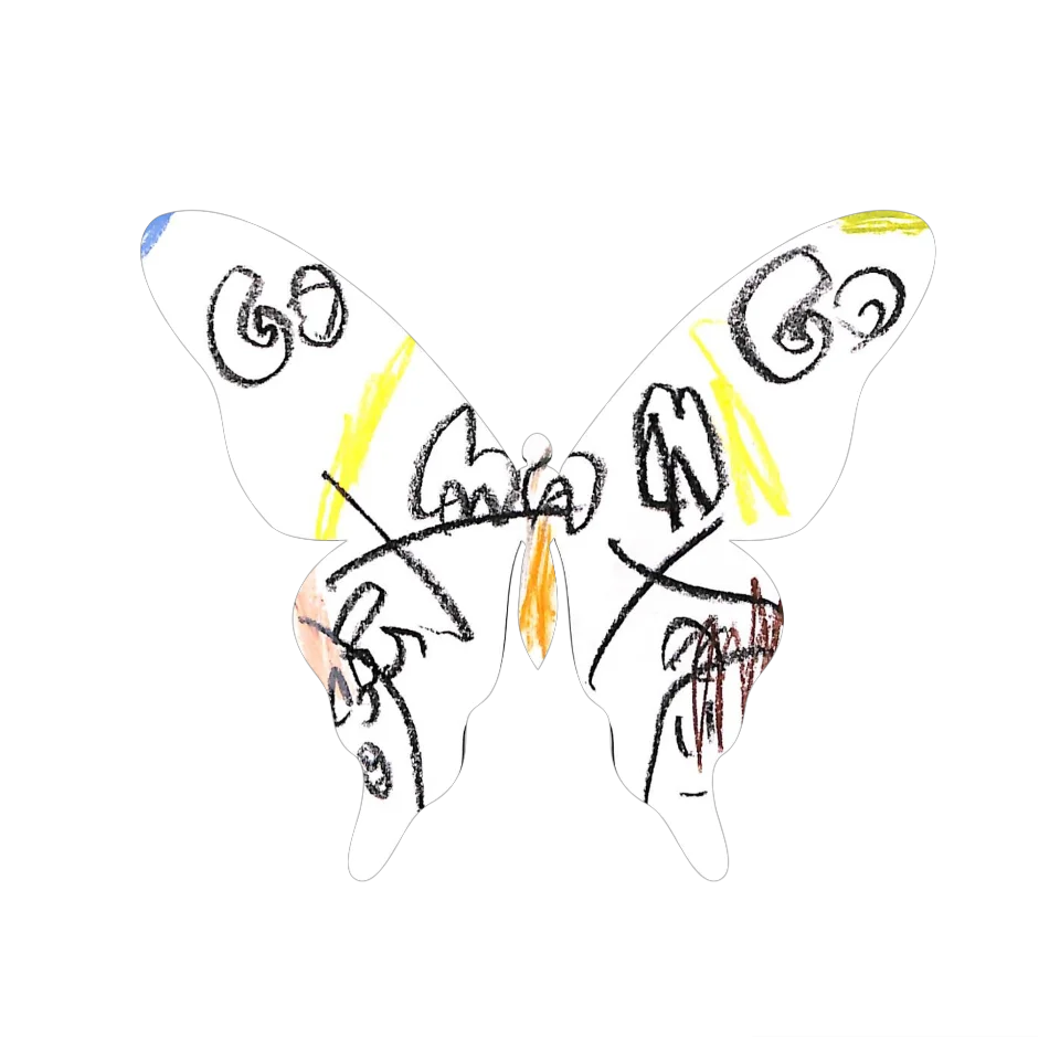 Original Butterfly Image