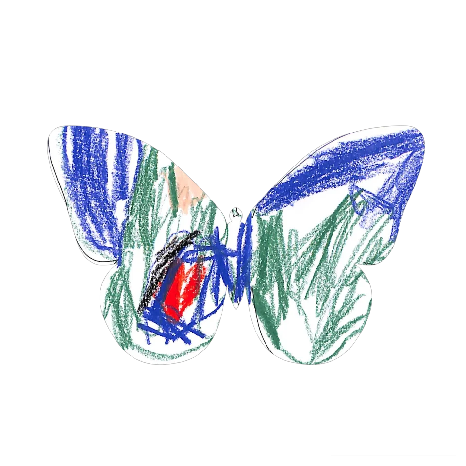 Original Butterfly Image
