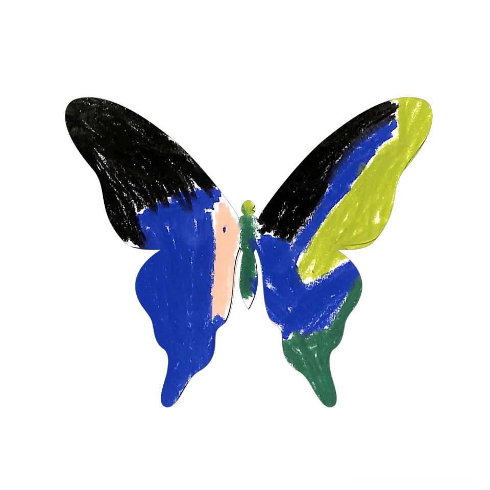 Original Butterfly Image