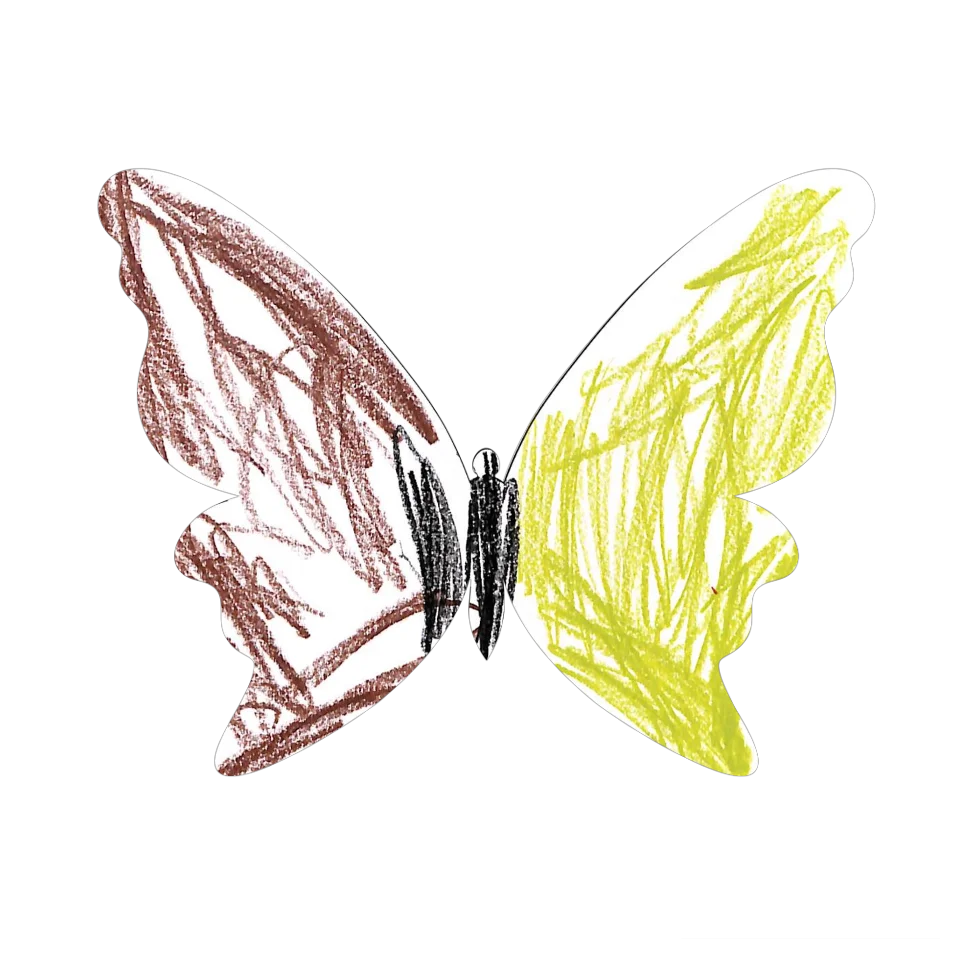Original Butterfly Image