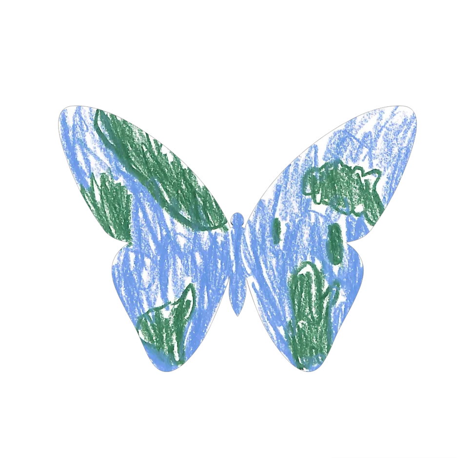 Original Butterfly Image