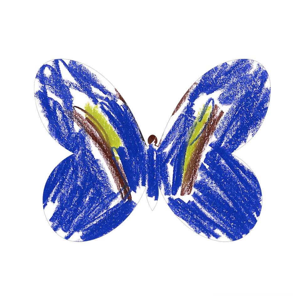 Original Butterfly Image