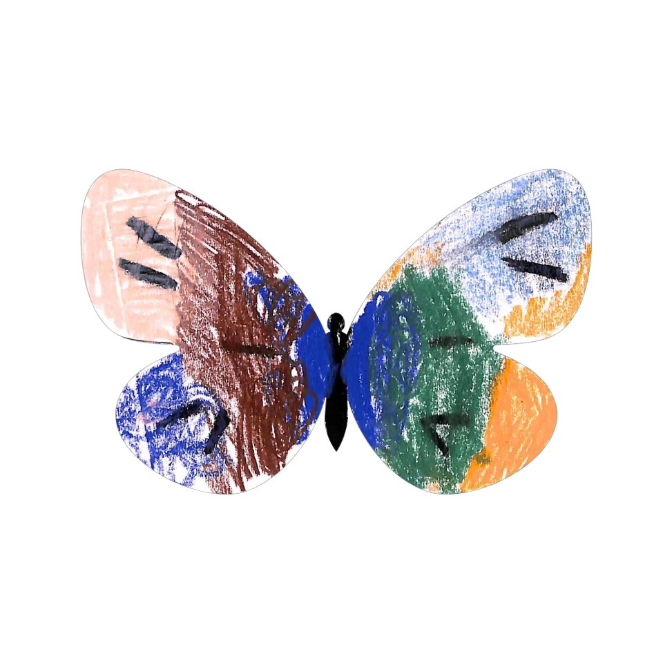 Original Butterfly Image