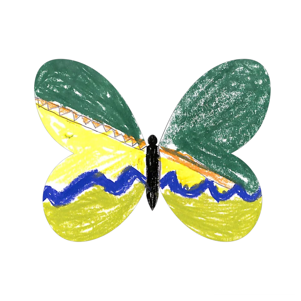Original Butterfly Image