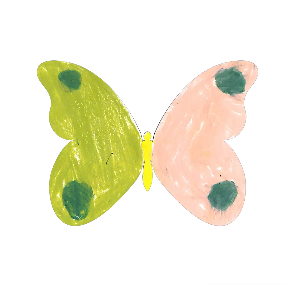 Original Butterfly Image