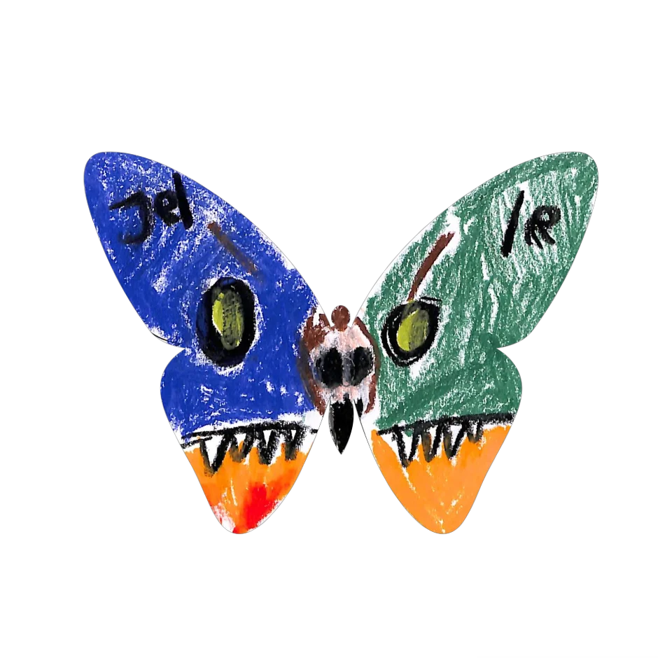 Original Butterfly Image