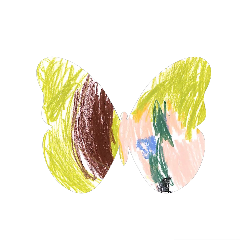 Original Butterfly Image