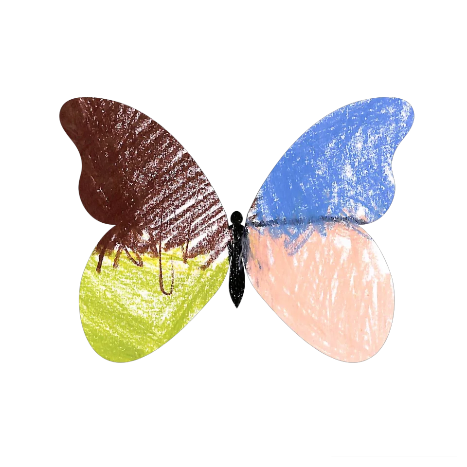 Original Butterfly Image