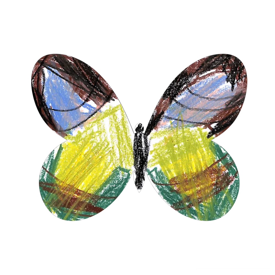 Original Butterfly Image