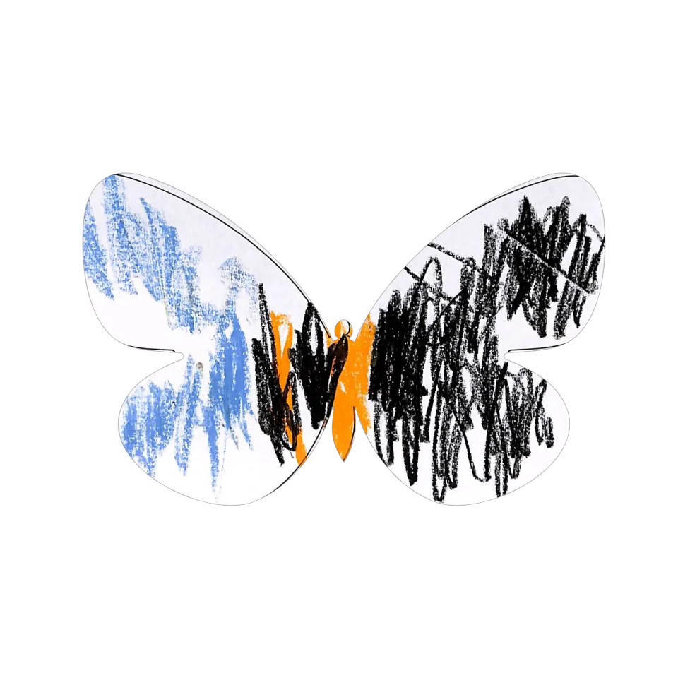 Original Butterfly Image