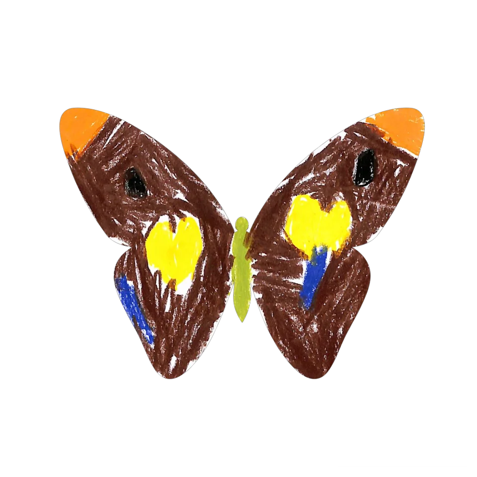 Original Butterfly Image