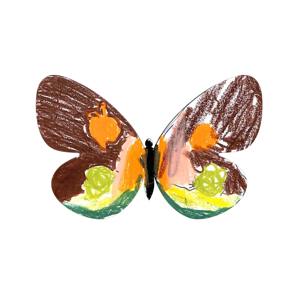 Original Butterfly Image