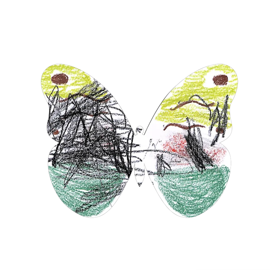 Original Butterfly Image