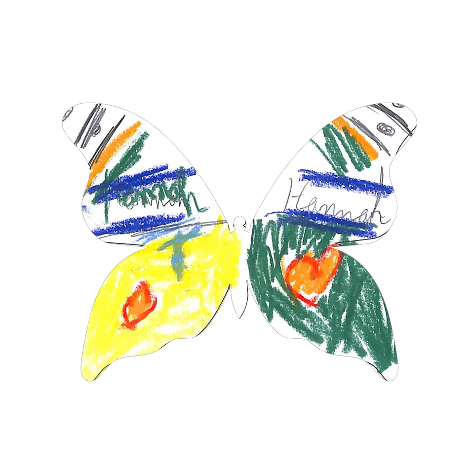 Original Butterfly Image