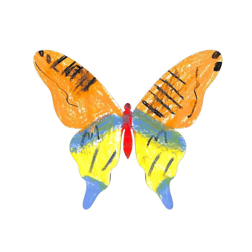 Original Butterfly Image