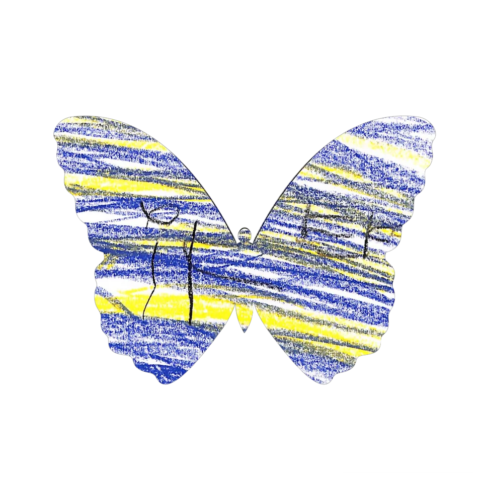 Original Butterfly Image
