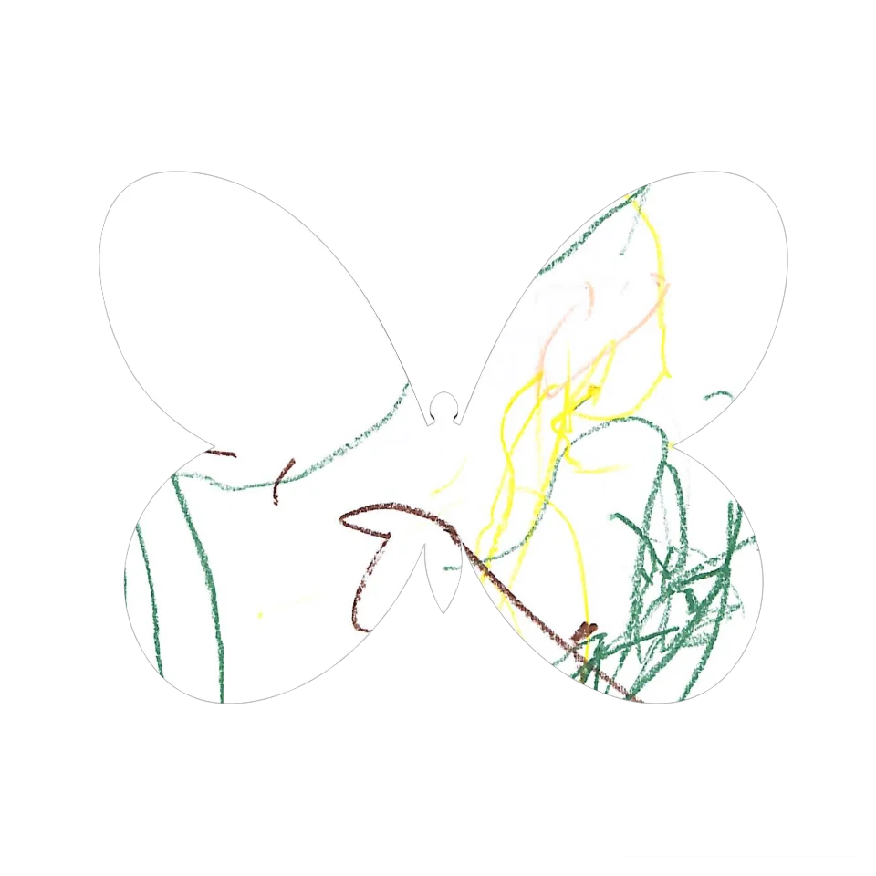 Original Butterfly Image