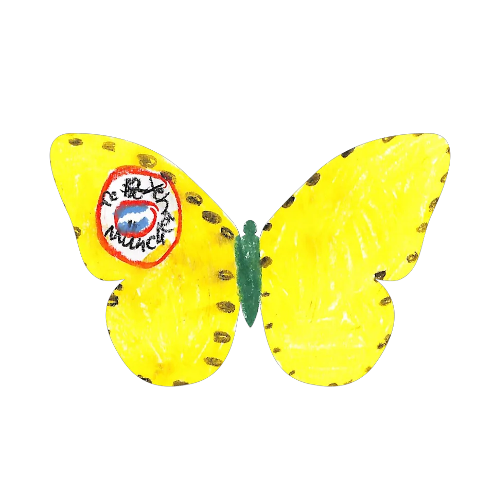 Original Butterfly Image