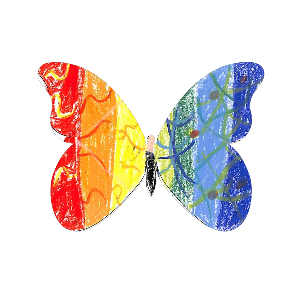 Original Butterfly Image