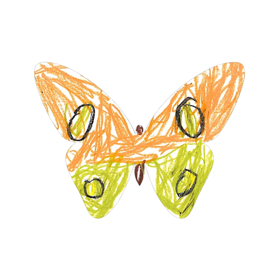 Original Butterfly Image